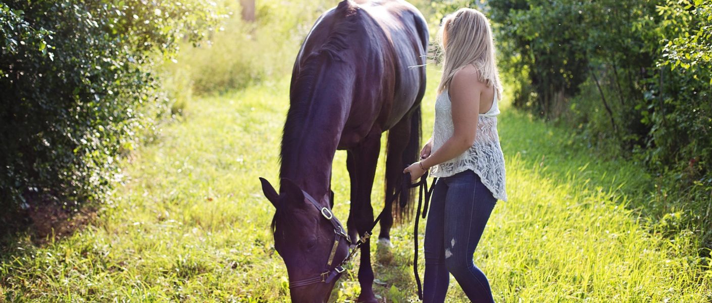 Header Blog: Mag jouw paard nee zeggen? Trainen met keuzevrijheid, paard, grondwerk, paard eet gras