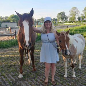 Header blog: Wat ik heb geleerd van het trainen met twee paarden, welsh, draver, pony